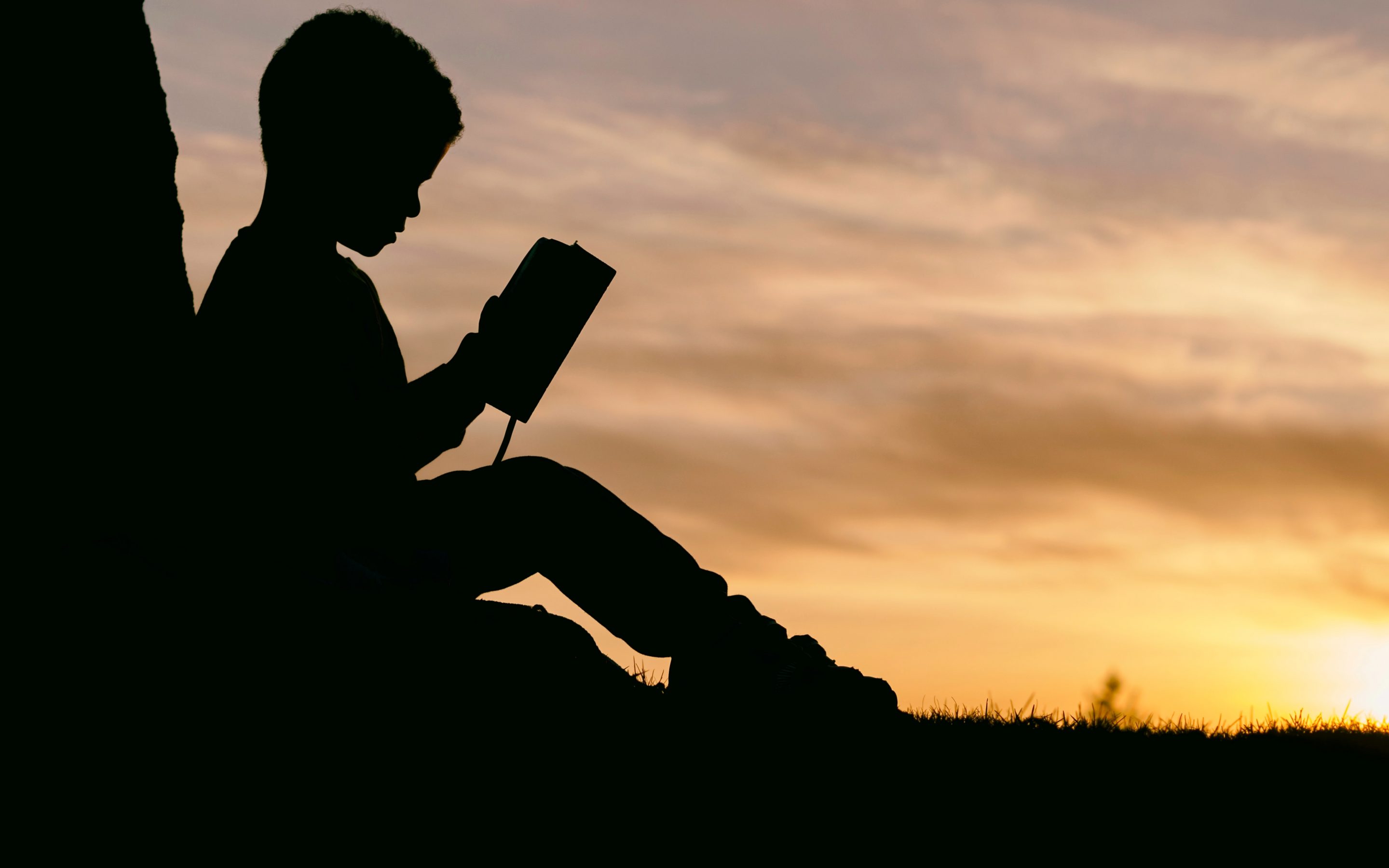 silhouette of child sitting behind tree during sunset